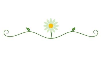 Floral Ornament Underline Design for Decorative Borders and Frame vector