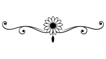 Elegant Floral Ornament Underline Design for Decorative Borders and Frame vector