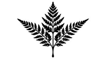 Elegant Floral Ornament Underline Design for Decorative Borders and Frames vector
