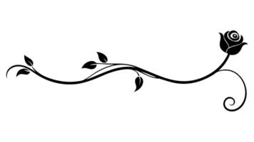 Elegant Floral Ornament for Design Delicate Flower and Decorative Patterns vector