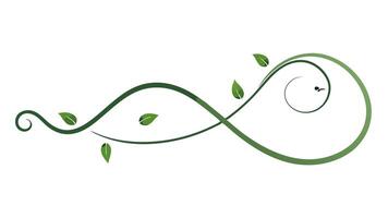 Underline Floral Ornament Design and Decoration vector