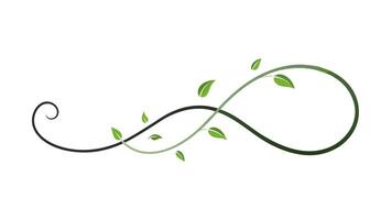 Elegant Floral Ornament Underline for Decorative Design and Branding vector