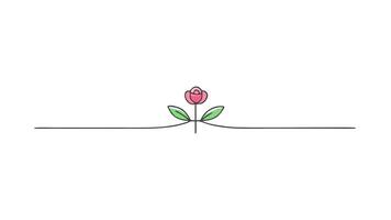Minimalist Floral Ornament and Graphic Design vector