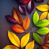 Vibrant Autumn Leaves Collection showcasing a spectrum of colors photo