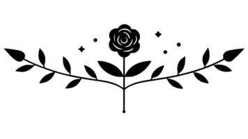 Floral Ornament with Underline for Decorative Design and Branding vector