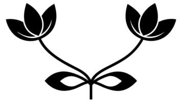 Minimalist Floral Ornament Border and Graphic Design vector