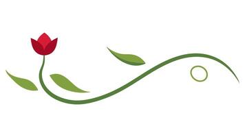 Elegant Floral Ornament with Underline Decorative Design and Branding vector