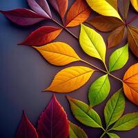 Vibrant Autumn Leaves Colorful Fall Foliage Nature Photography photo