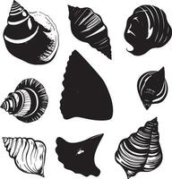 a set of different shells, including a starfish, starfish, and a starfish vector