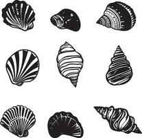 a set of different shells and shells vector