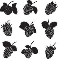 Black raspberry silhouette in format vector