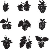 black raspberry silhouette set illustration vector