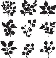 black berries and leaves silhouettes set vector