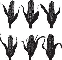 Assorted corn silhouettes illustrated as graphics. vector