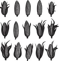 Collection of corn silhouettes in format. vector