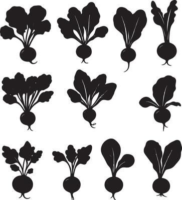 black silhouettes of various vegetables on a white background