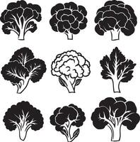black and white broccoli icons set vector