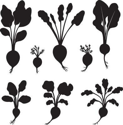 black silhouettes of various vegetables and plants