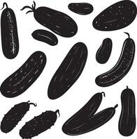 a set of different types of cucumbers vector