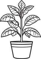 plant clean simple linear outline black illustration vector