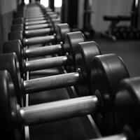 A row of dumbbells in a gym photo