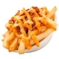 crispy fries topped with melted cheese and bacon photo