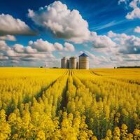 Stunning View of Canola Field with Grain Silos Under a Blue Sky with Puffy Clouds photo