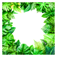 Greenery Frame with Lush Tropical Leaves for Design Projects png