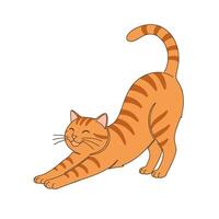 An illustration of a cat stretching vector