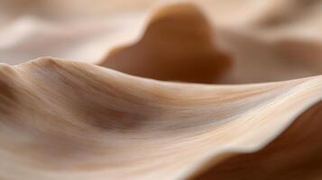 Close-up of a beige seashell's interior, showing texture and curves. photo