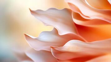 Close-up of delicate, peach-colored flower petals with soft, blurred background. photo