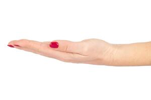 Female Hand with Red Manicure in Open Palm Gesture on White Background photo