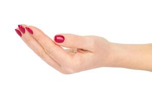 Female Hand with Red Manicure Isolated on White Background photo