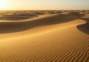 Golden Sand Dunes Landscape At Sunset Photography Landscape Images Of Sand Dunes Photography Desert Backgrounds Panorama Of Sand Dunes During Sunset Sunlit Sand Dunes Photograph Of Sunlit Dunes photo