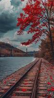 Red maple tree leaves in the style of the lake and train tracks. photo