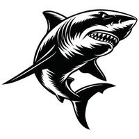 Bold Black and White Shark. vector