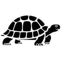 Turtle silhouette on a white background. vector