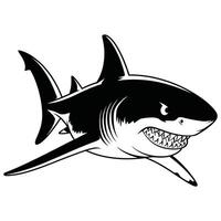 Great white shark vector