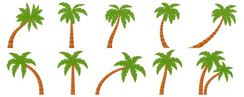 Palm Tree Illustration On White Background Set vector