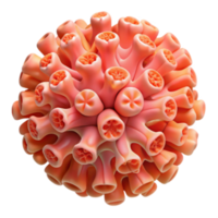 vibrant artistic Coral Polyp Cluster A Detailed 3D Render professional png