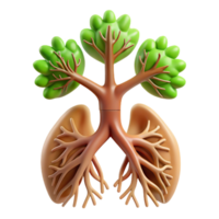 3D Lungs and Trees Illustration png