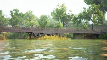 A peaceful day on the water with a rustic bridge and lush greenery at sunset video