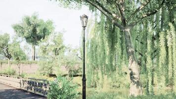 Serene park pathway with a lamp post and lush greenery in a sunny afternoon video