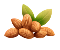Almonds with leaves on white background png