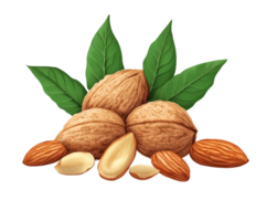 Walnuts and almonds with leaves on transparent background png