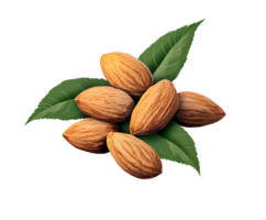Almonds with leaves on transparent background png