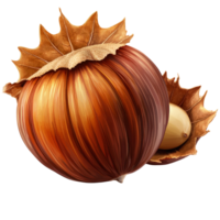 Hazelnut with shell digital painting on transparent background png