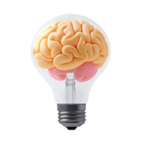 Brain inside lightbulb 3d render on transparent background png
