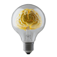 3D Render of Yellow Brain Inside Light Bulb png