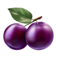Plums illustration, two purple plums with leaf on transparent background png